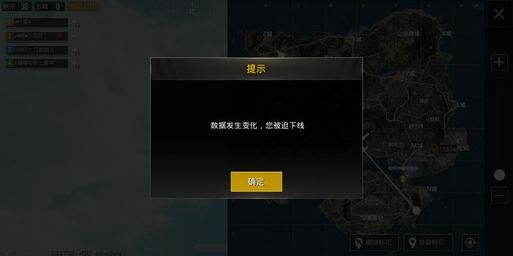 和平精英【EAD内部】辅助