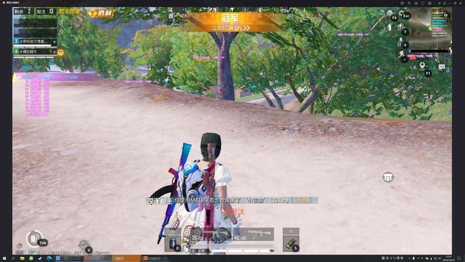 和平精英DDYS辅助