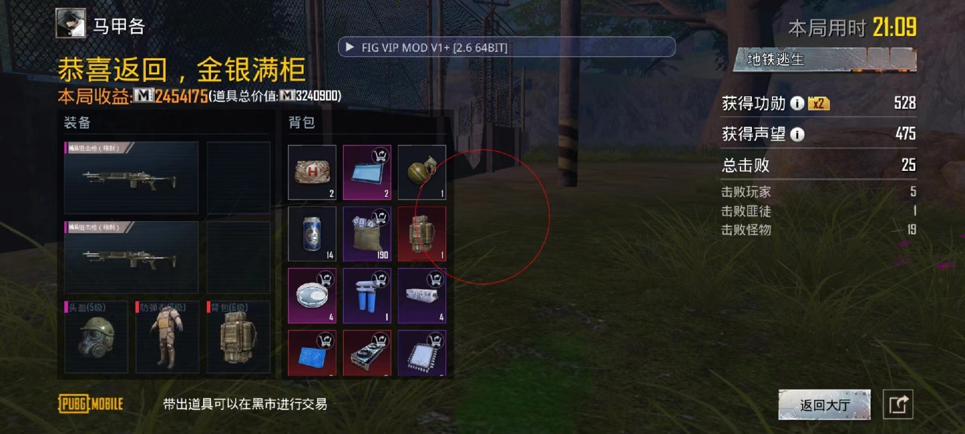 和平【涂山红红】辅助轻便直装工具，重现丝滑畅快体验